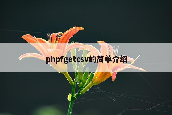 phpfgetcsv的简单介绍