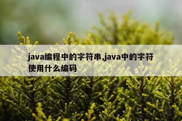 java编程中的字符串,java中的字符使用什么编码