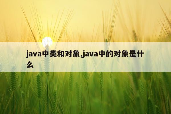 java中类和对象,java中的对象是什么