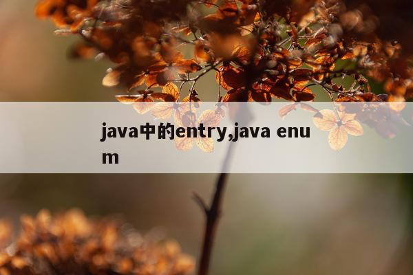 java中的entry,java enum