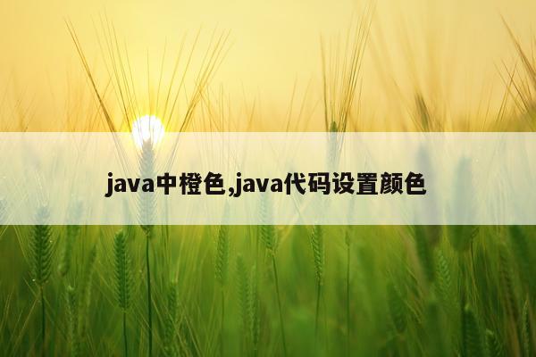 java中橙色,java代码设置颜色