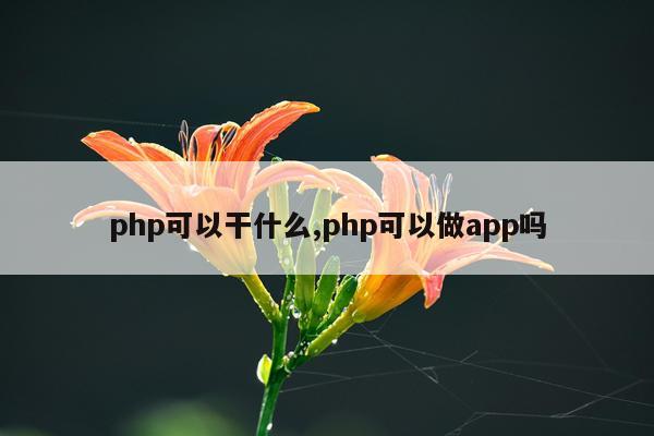 php可以干什么,php可以做app吗