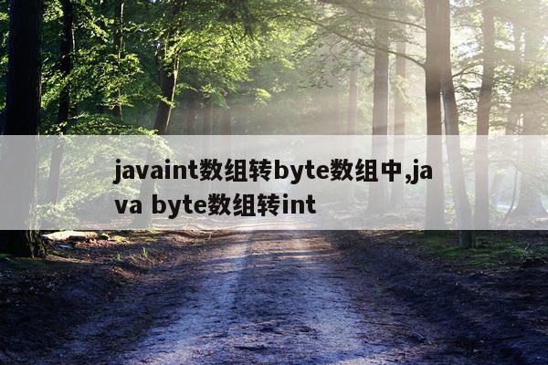 javaint数组转byte数组中,java byte数组转int