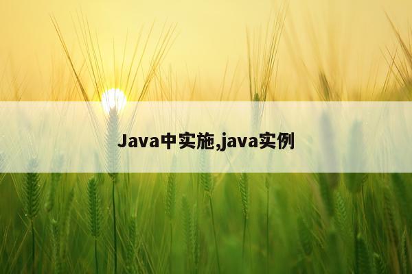 Java中实施,java实例