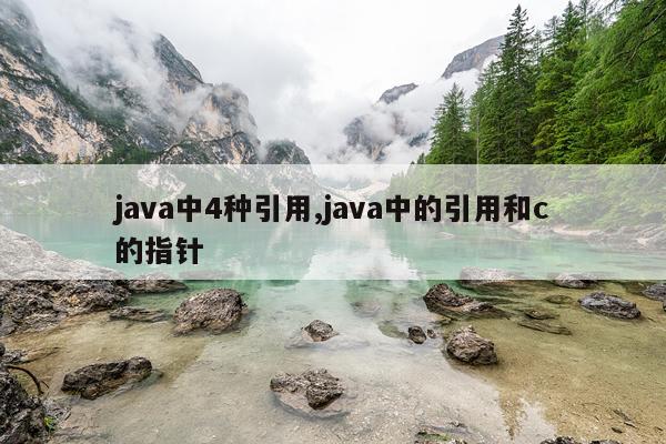 java中4种引用,java中的引用和c的指针