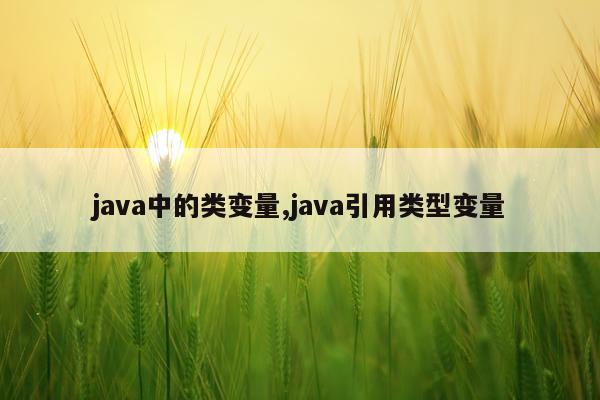 java中的类变量,java引用类型变量
