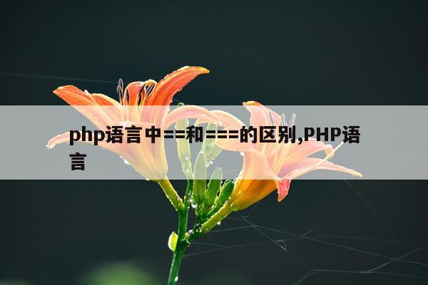 php语言中==和===的区别,PHP语言