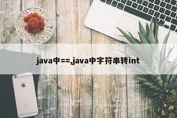 java中==,java中字符串转int