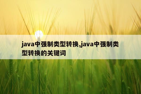 java中强制类型转换,java中强制类型转换的关键词