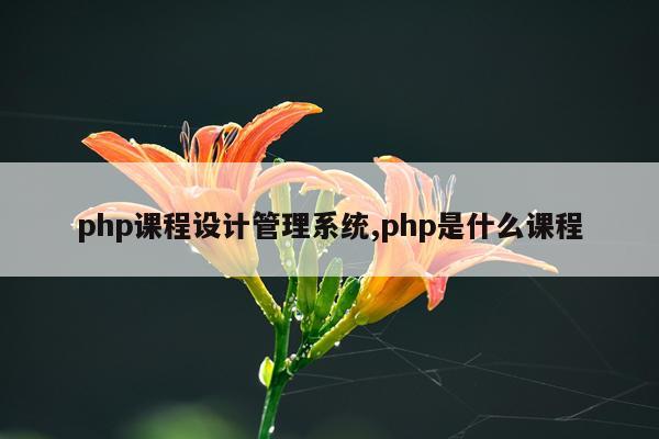 php课程设计管理系统,php是什么课程