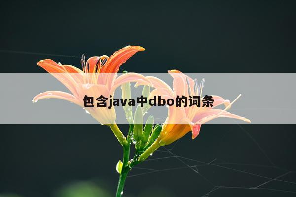 包含java中dbo的词条