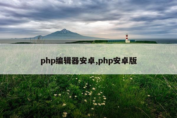 php编辑器安卓,php安卓版