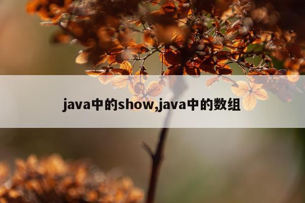 java中的show,java中的数组