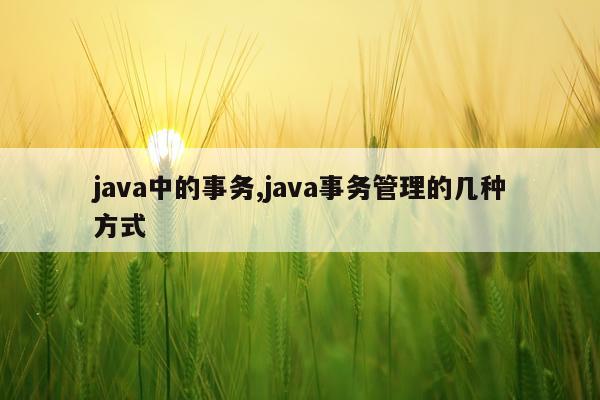 java中的事务,java事务管理的几种方式