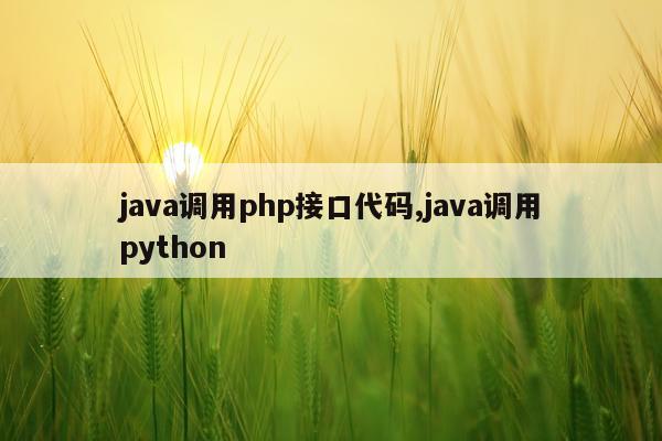 java调用php接口代码,java调用python