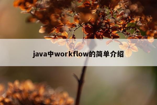 java中workflow的简单介绍