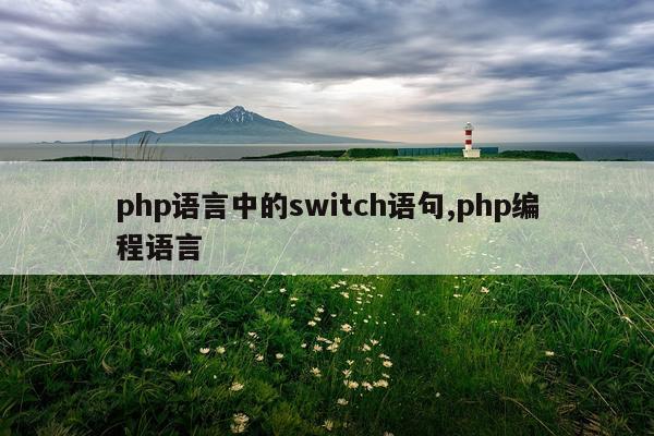 php语言中的switch语句,php编程语言