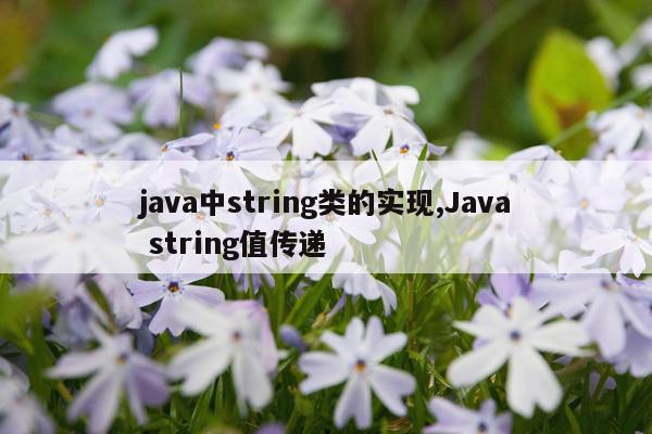 java中string类的实现,Java string值传递