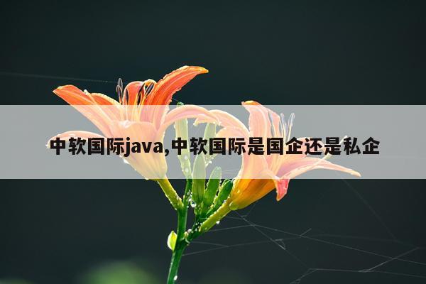 中软国际java,中软国际是国企还是私企