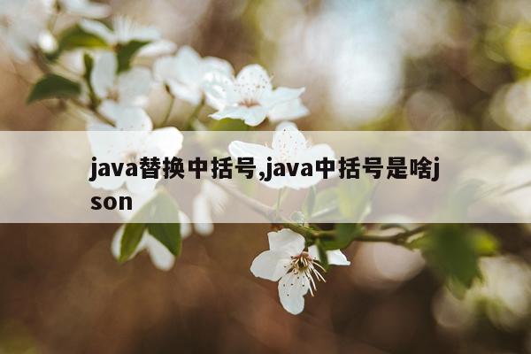 java替换中括号,java中括号是啥json