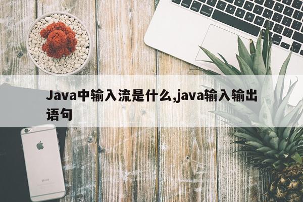 Java中输入流是什么,java输入输出语句