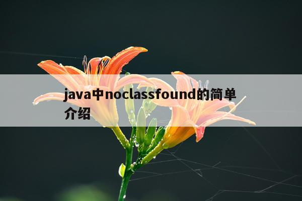 java中noclassfound的简单介绍