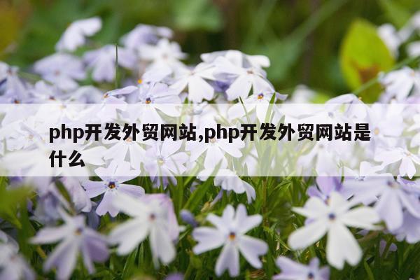 php开发外贸网站,php开发外贸网站是什么