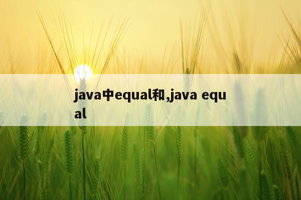 java中equal和,java equal