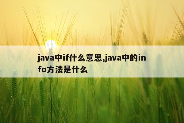 java中if什么意思,java中的info方法是什么