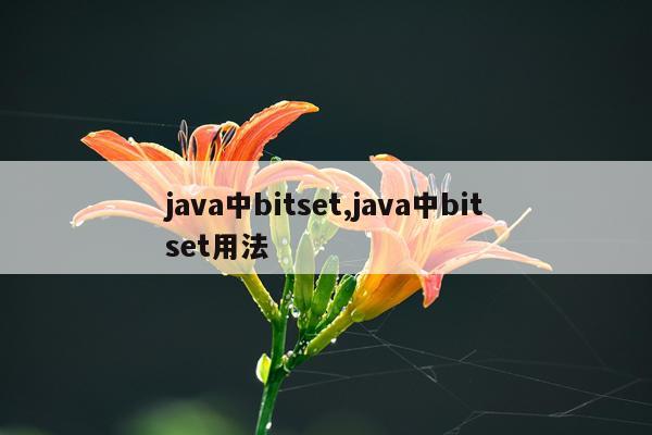 java中bitset,java中bitset用法