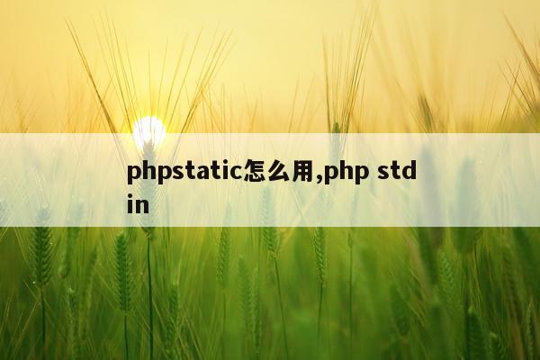 phpstatic怎么用,php stdin