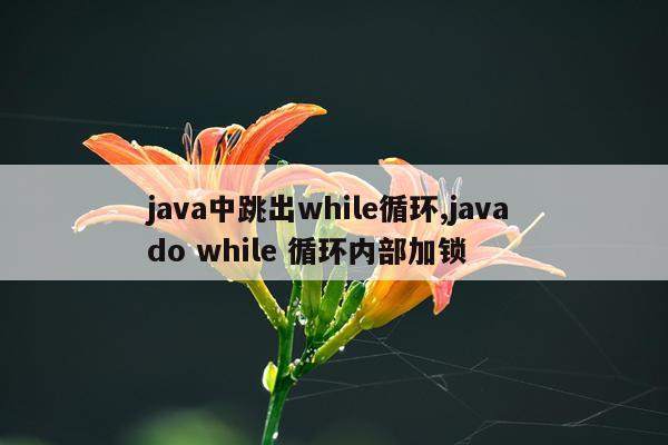 java中跳出while循环,java do while 循环内部加锁