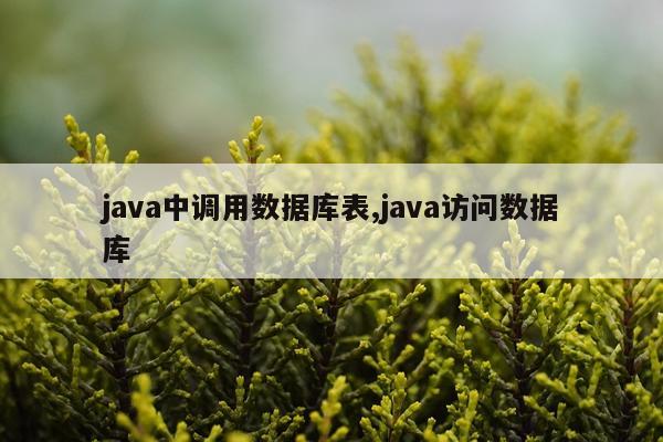java中调用数据库表,java访问数据库