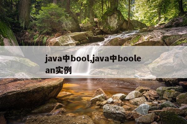 java中bool,java中boolean实例