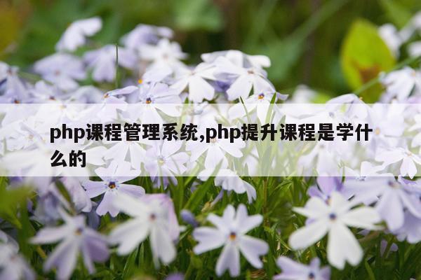 php课程管理系统,php提升课程是学什么的