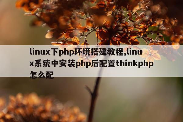 linux下php环境搭建教程,linux系统中安装php后配置thinkphp怎么配