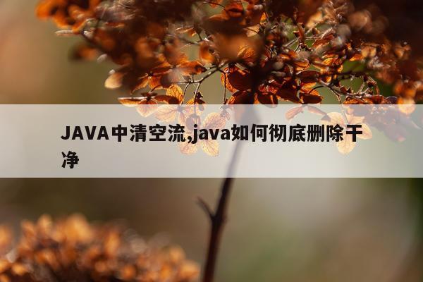 JAVA中清空流,java如何彻底删除干净