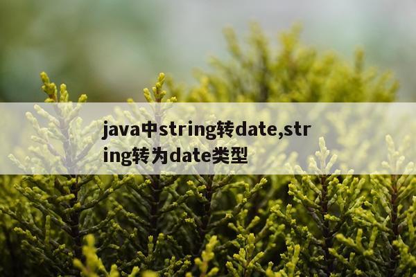 java中string转date,string转为date类型