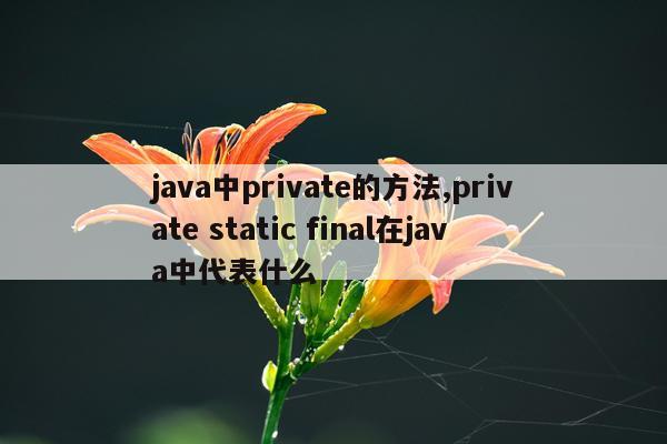 java中private的方法,private static final在java中代表什么