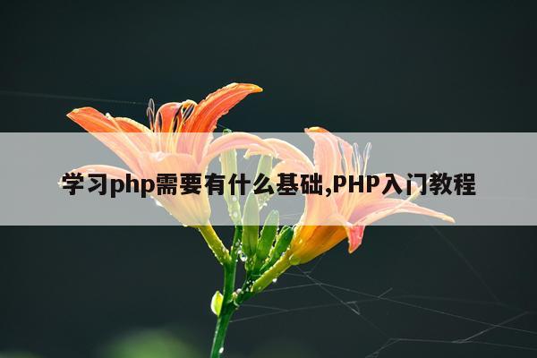 学习php需要有什么基础,PHP入门教程