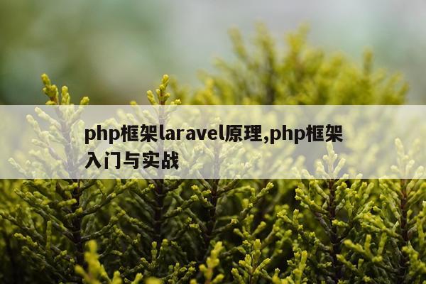 php框架laravel原理,php框架入门与实战