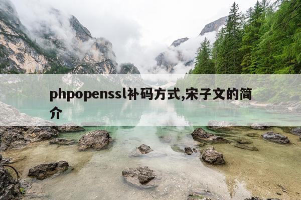 phpopenssl补码方式,宋子文的简介