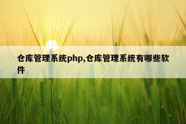 仓库管理系统php,仓库管理系统有哪些软件