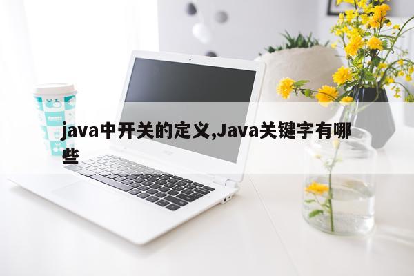 java中开关的定义,Java关键字有哪些