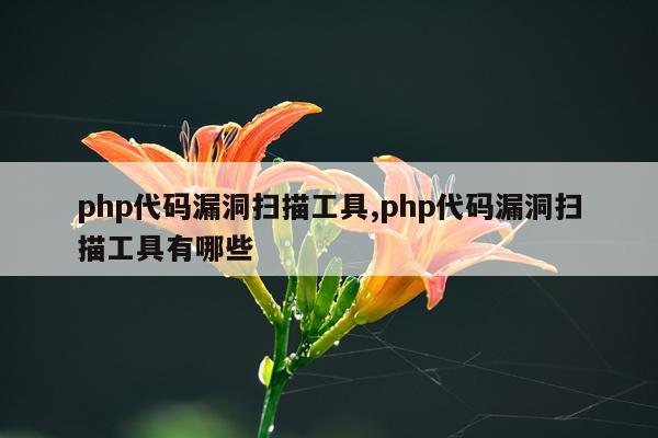 php代码漏洞扫描工具,php代码漏洞扫描工具有哪些