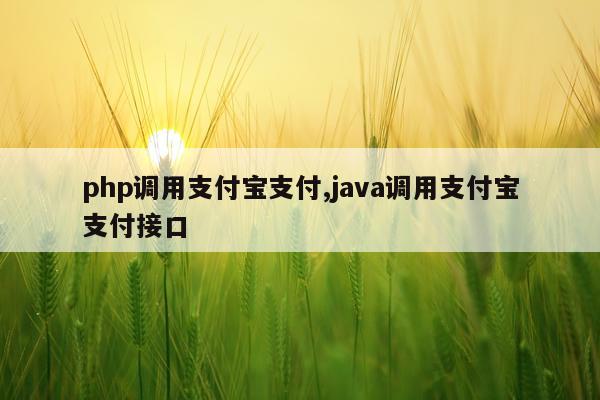 php调用支付宝支付,java调用支付宝支付接口