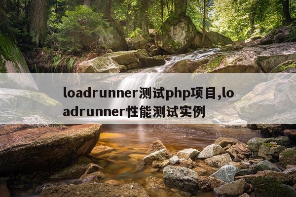 loadrunner测试php项目,loadrunner性能测试实例