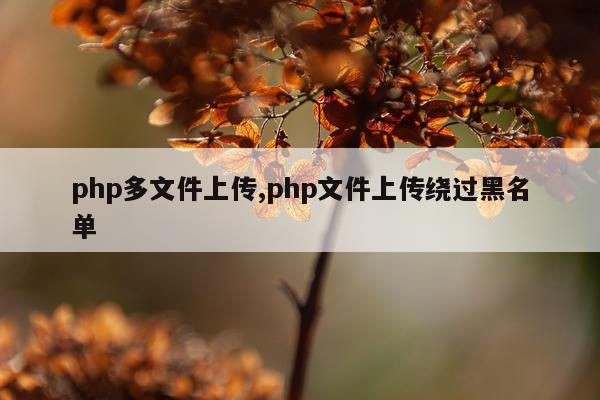 php多文件上传,php文件上传绕过黑名单