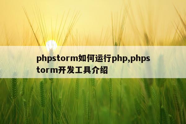phpstorm如何运行php,phpstorm开发工具介绍