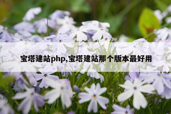 宝塔建站php,宝塔建站那个版本最好用